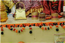 TulsiVivah(288).jpg