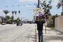 IMG_1860.JPG
