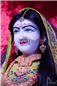 08-0276-12072012.jpg